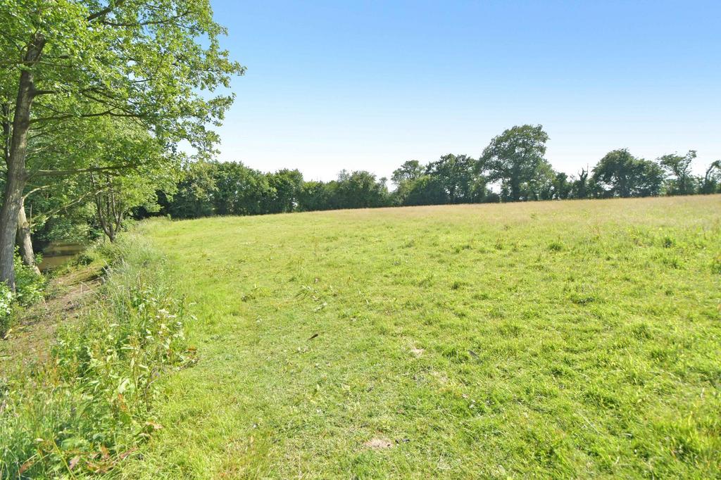 Hayfield