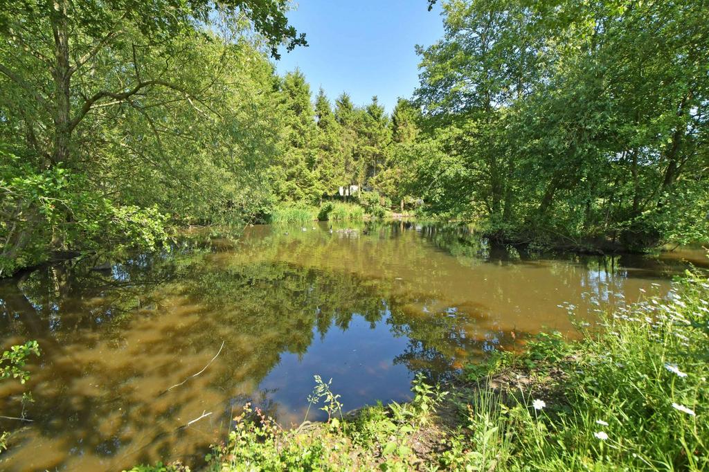 Fishing pool