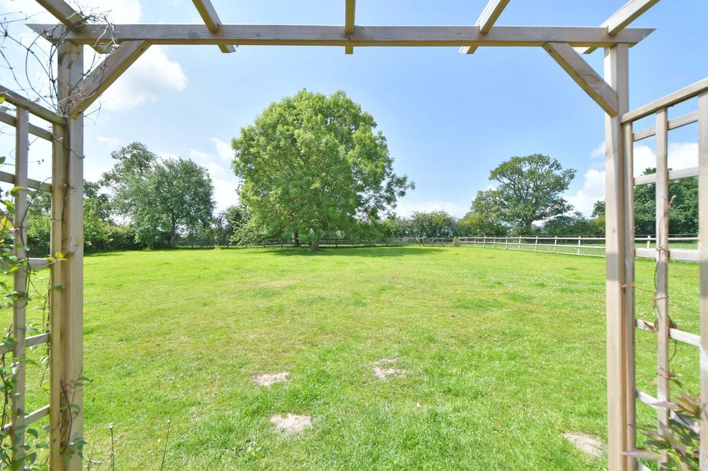 Garden to rear of kitchen