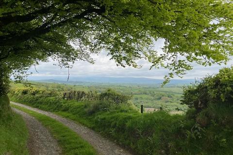 3 bedroom property with land for sale, Llanfynydd SA32