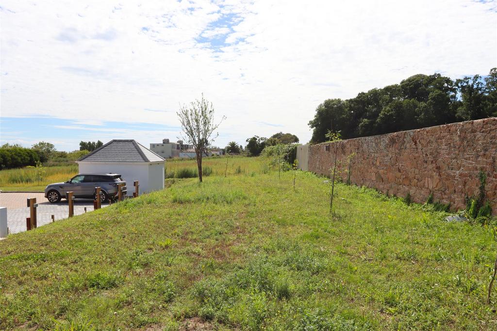 Grass bank 1 edit.jpg