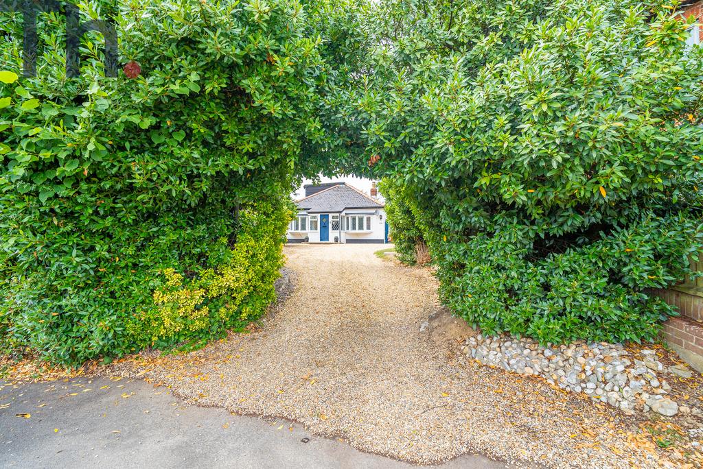 Pretty Driveway