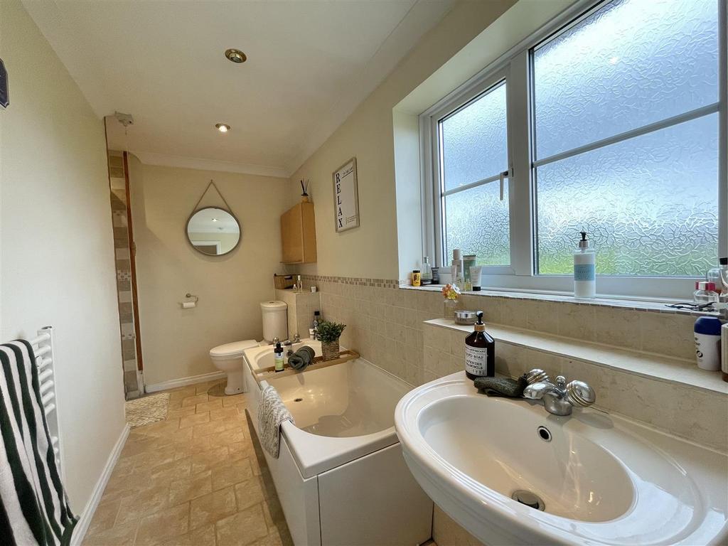 IMG 1313.jpeg