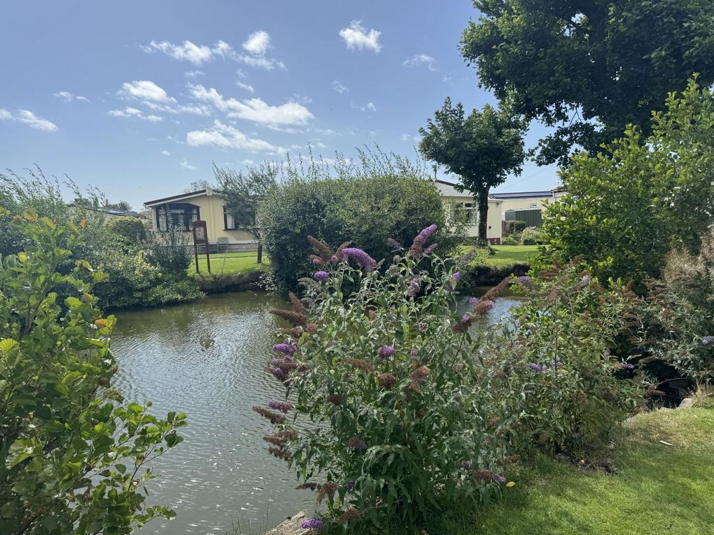 Duck Pond