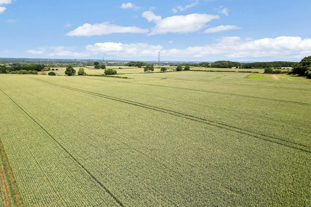Land