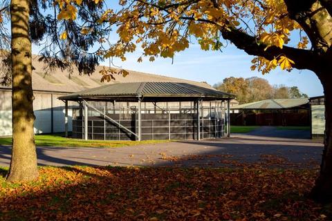 undefined, Ox Drove, Newbury