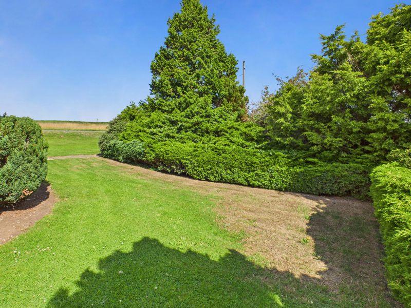 Side Garden