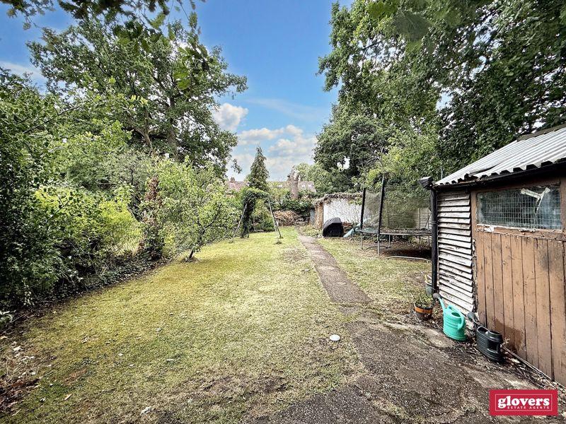 Back garden