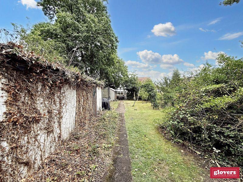 Back garden