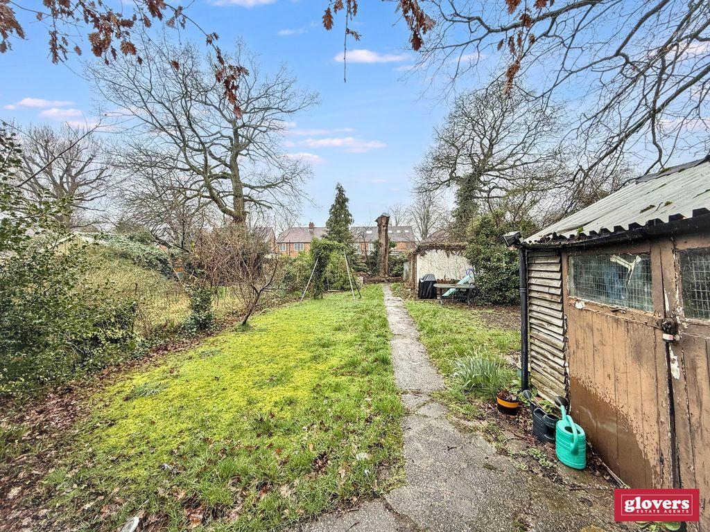 Back garden