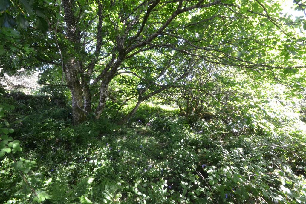 Dsc 0716.jpg