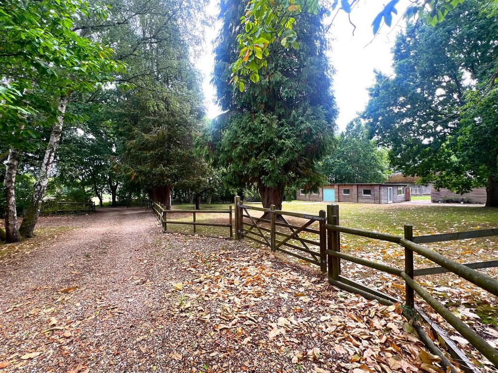 Driveway.jpg