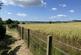 Additional image 13 of Gillingshill Reservoir & Nature Reserve, Arncroach, Anstruther, Fife, KY10