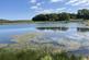 Additional image 17 of Gillingshill Reservoir & Nature Reserve, Arncroach, Anstruther, Fife, KY10