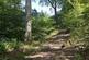 Additional image 10 of Gillingshill Reservoir & Nature Reserve, Arncroach, Anstruther, Fife, KY10