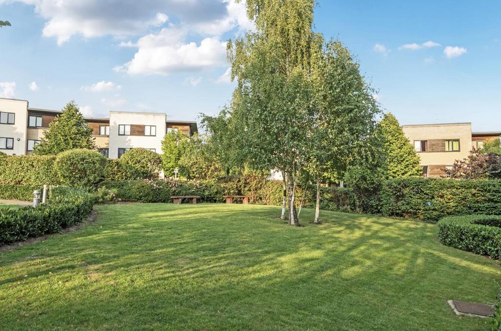 Communal garden, garden