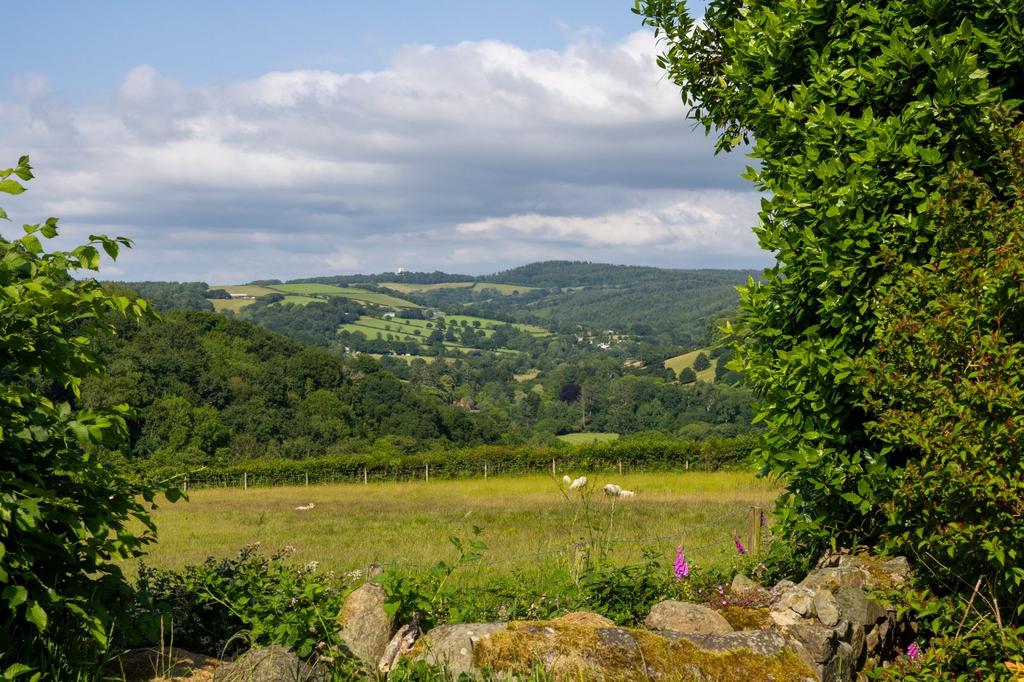 Lot 1 Land