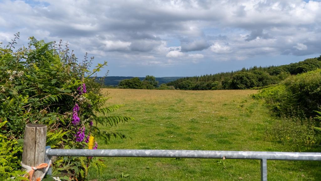 Lot 2 Land