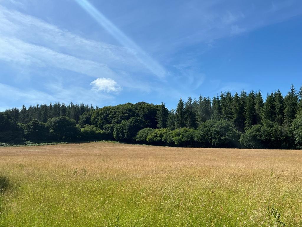 Lot 3 Land