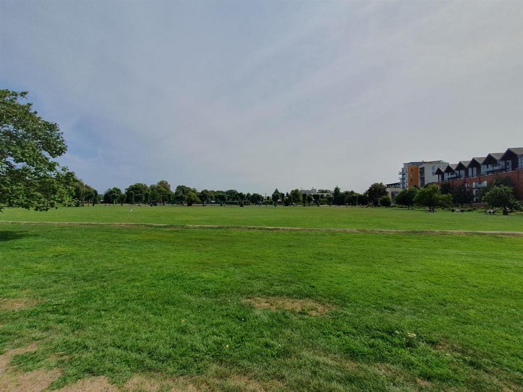 Park.jpg