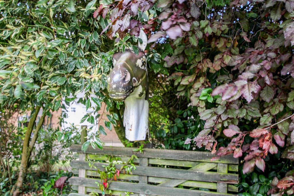 Garden Feature Shot - c.JPG