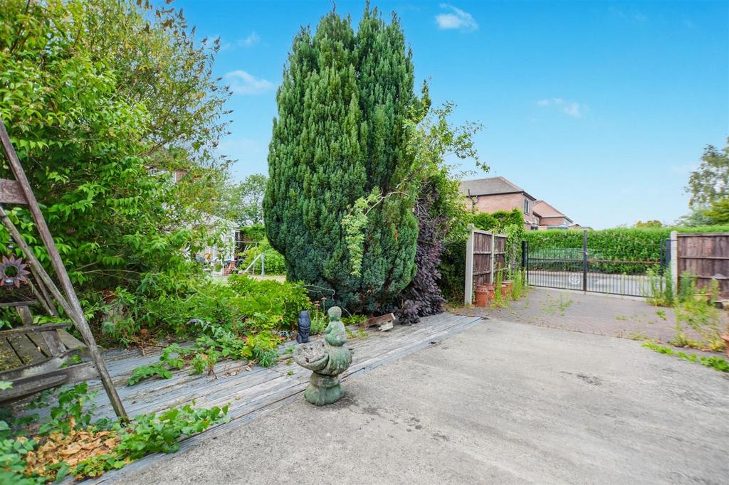 Garden 5.jpeg