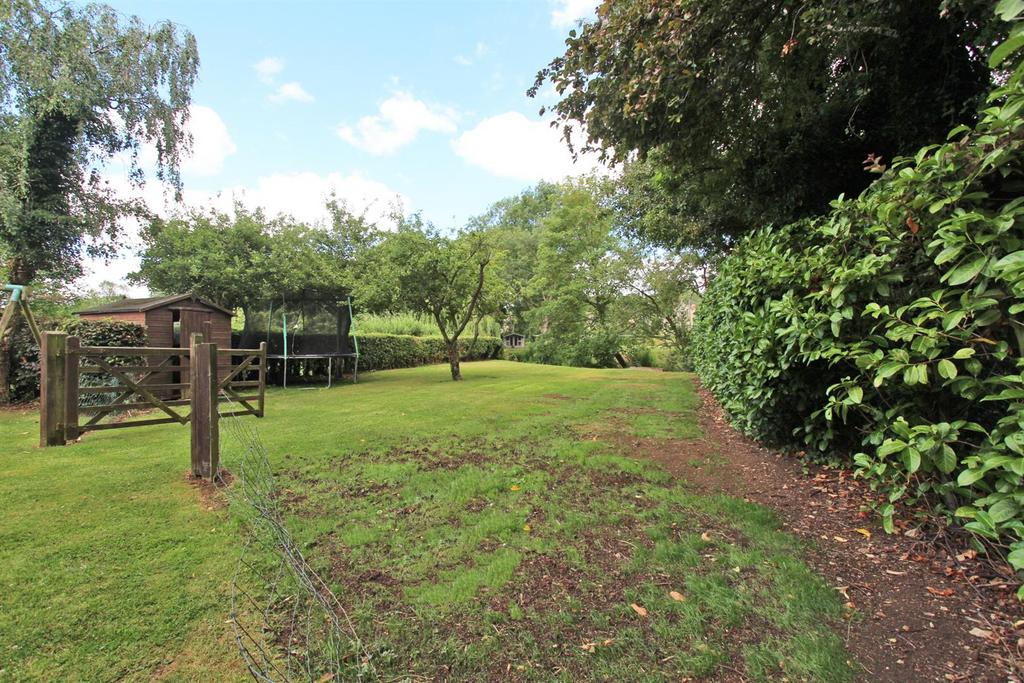 Further Garden.JPG