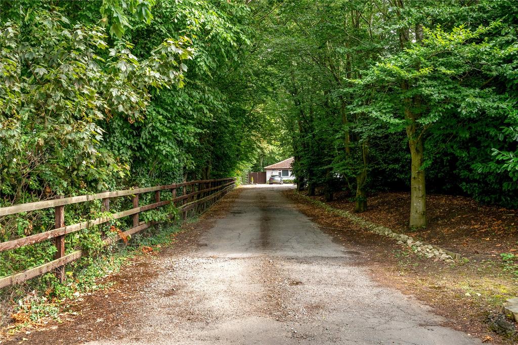 Driveway