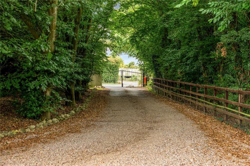 Driveway