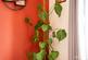 DSC00819-HDR.jpg