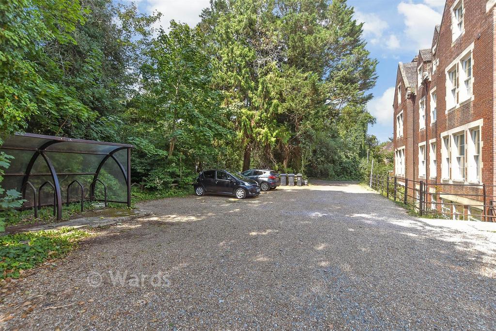Driveway/Parking