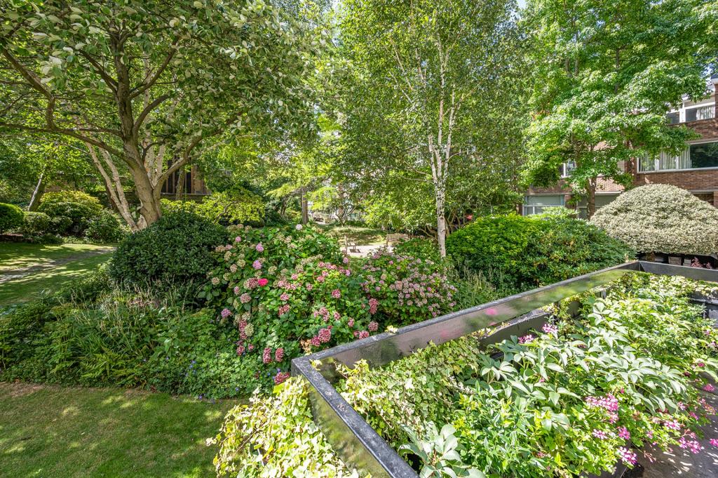 Communal Garden