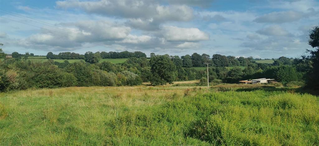 Lot 1 Looking East