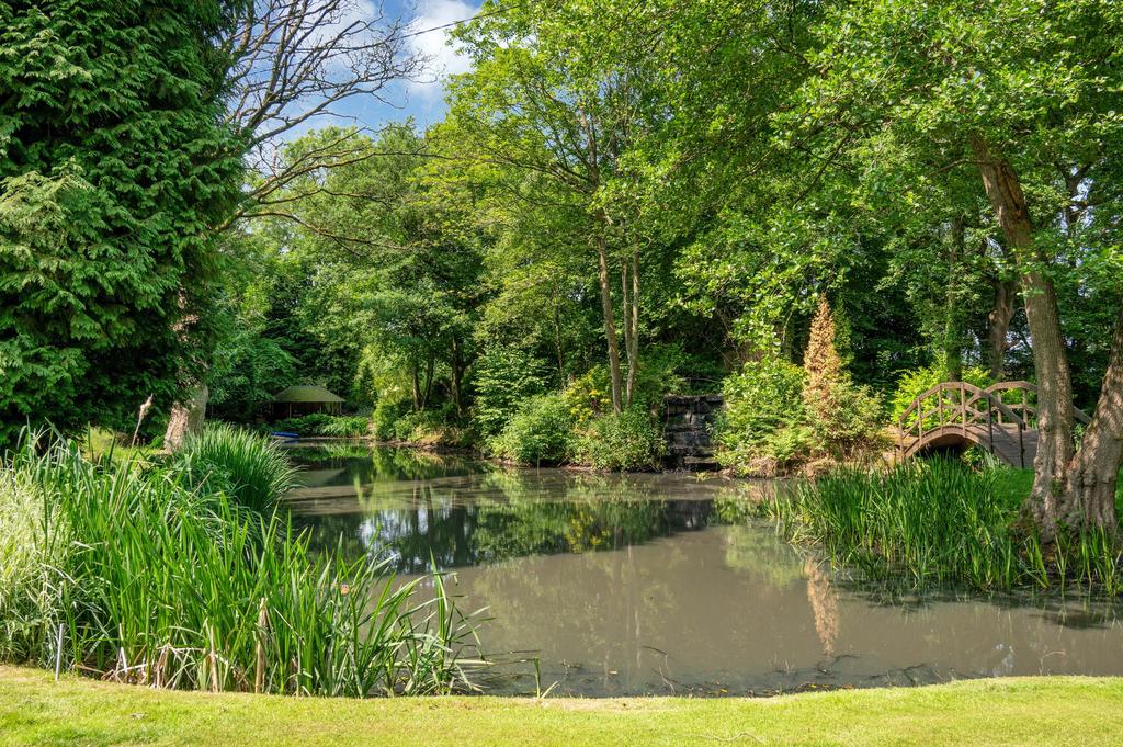 Pond
