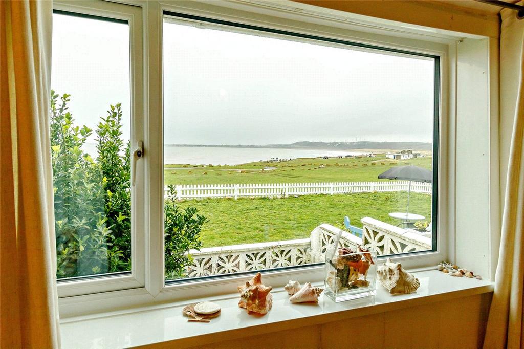 View From Window