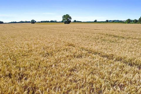 undefined, Vinesse Farm, Little Horkesley, Colchester, Essex, CO6