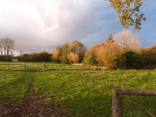2 small paddocks Nov.15.JPG