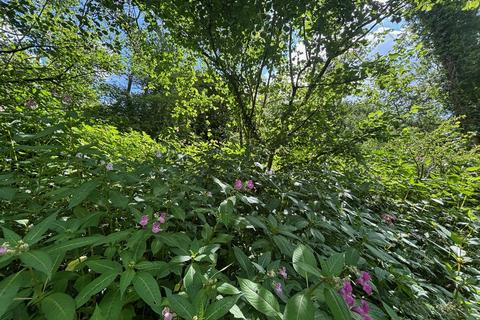 Land for sale, Llanfynydd, Carmarthen, Carmarthenshire.