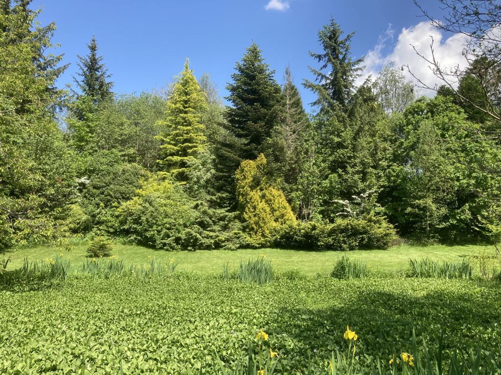 Pond &amp; Woodland