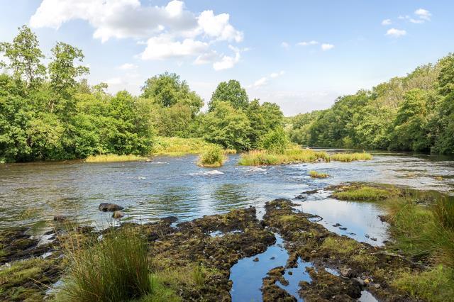 River view