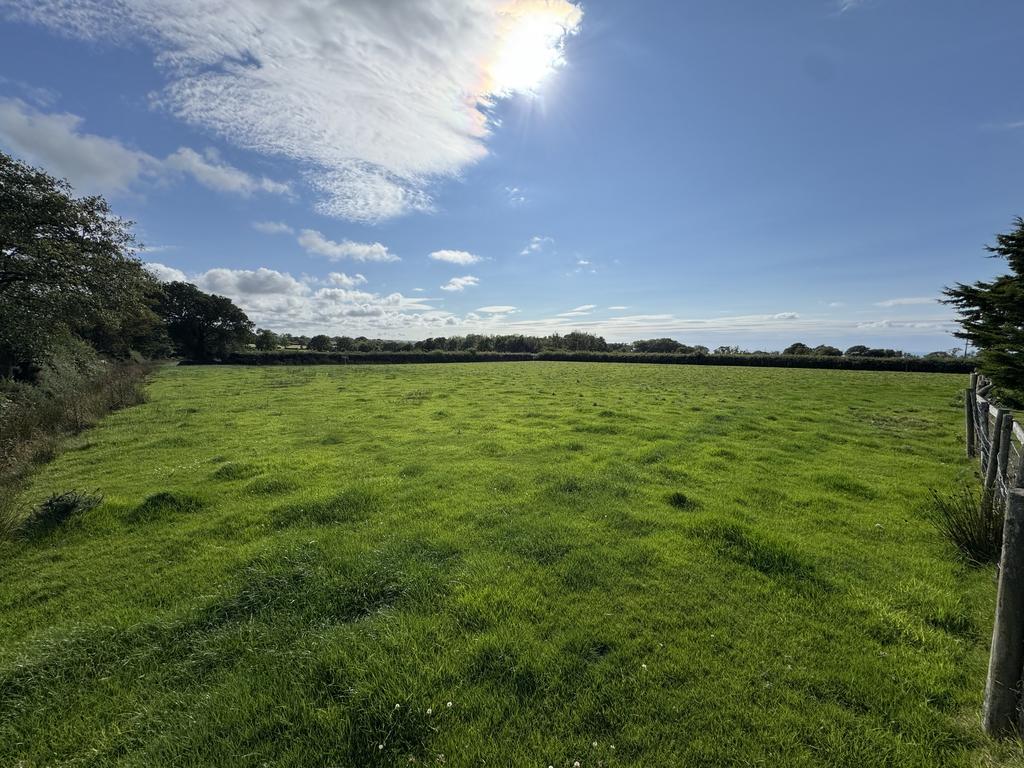 The land