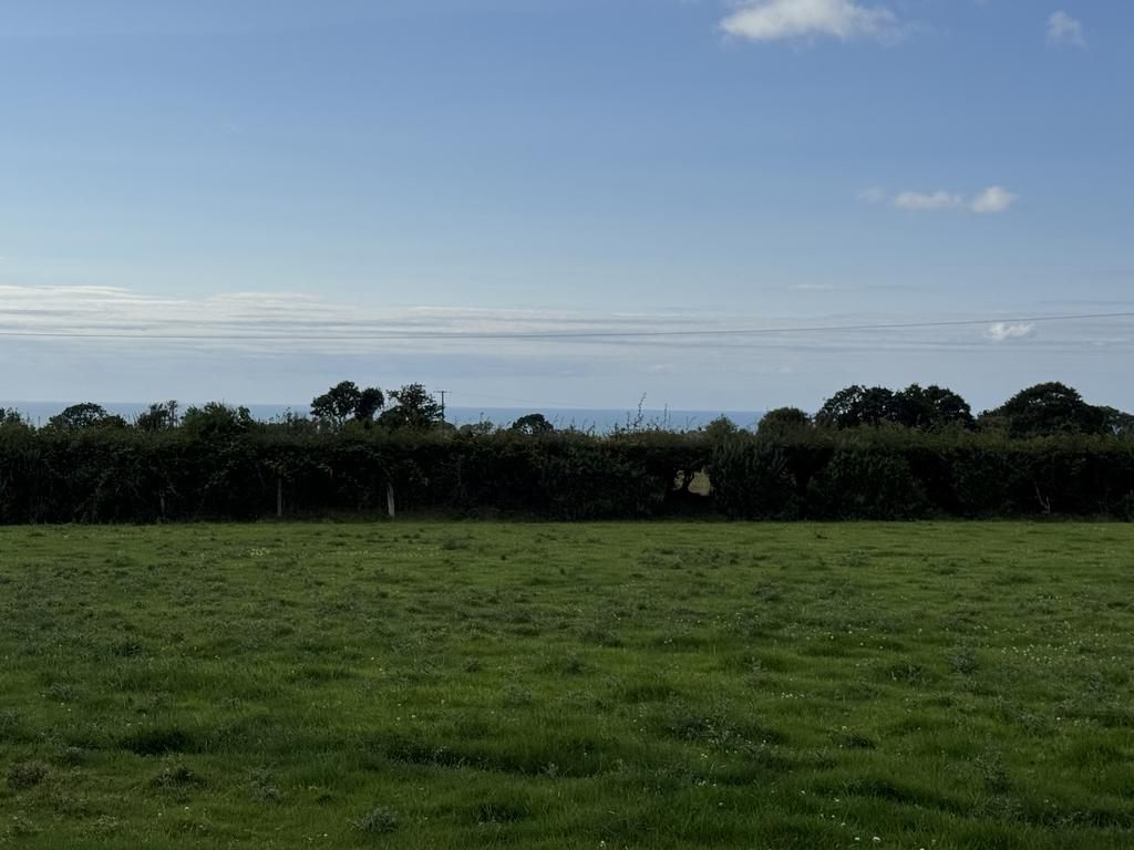 The land