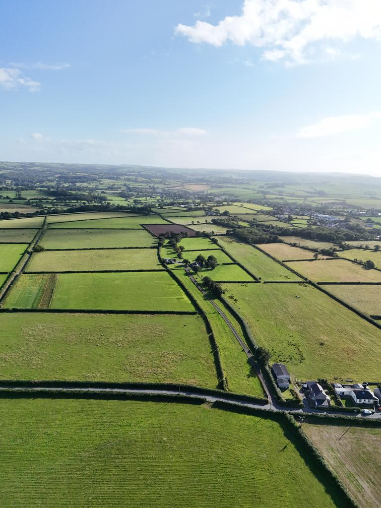 The land