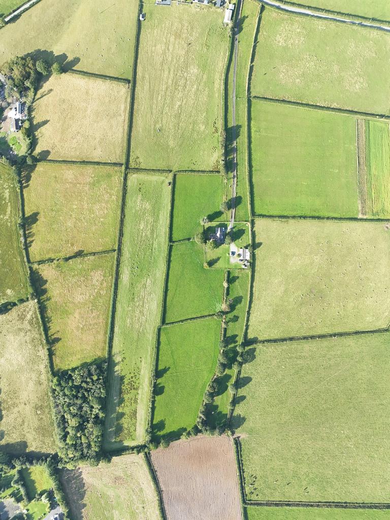 The land