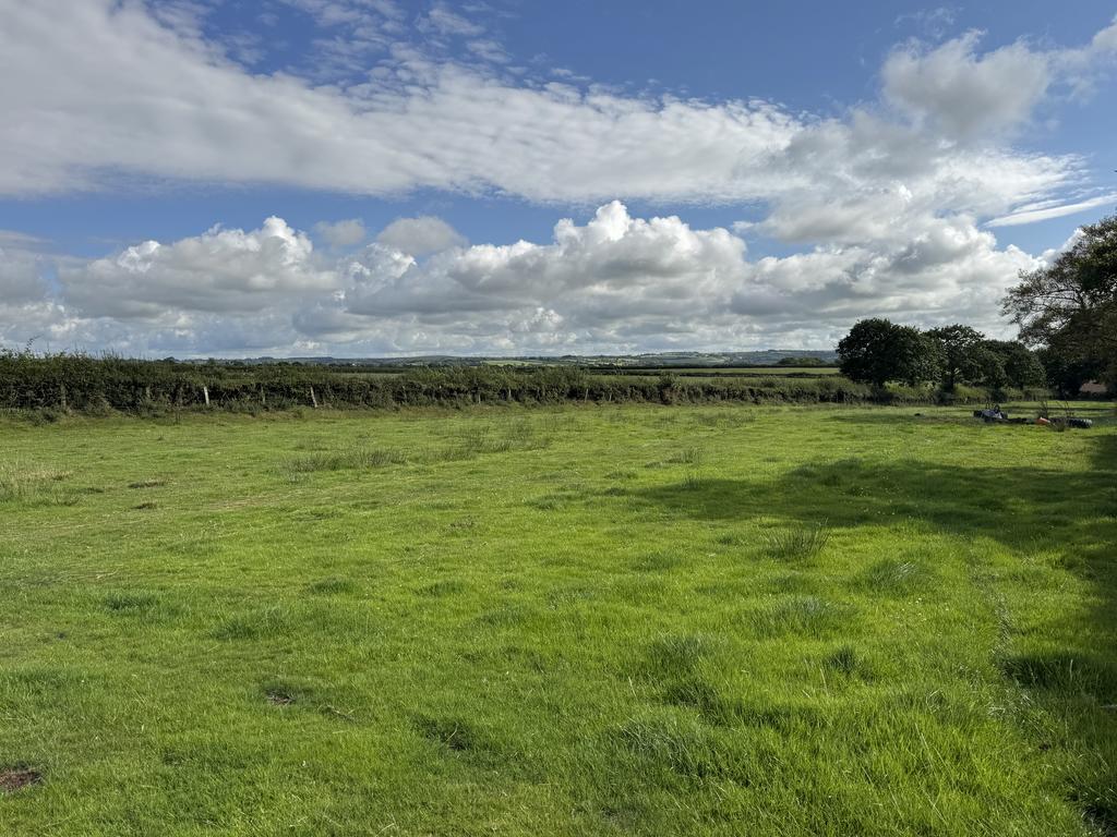 The land