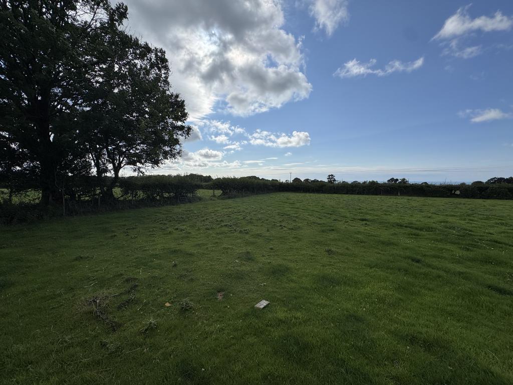 The land