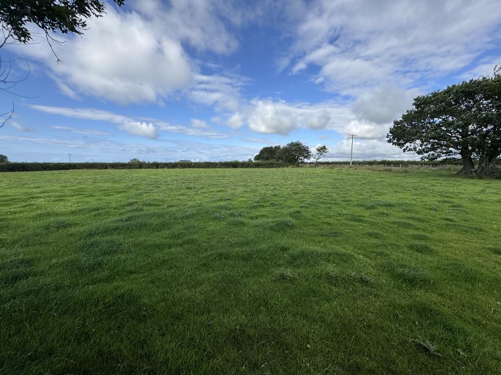 The land