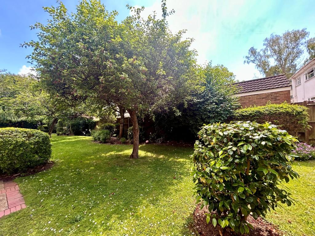 Communal garden 2
