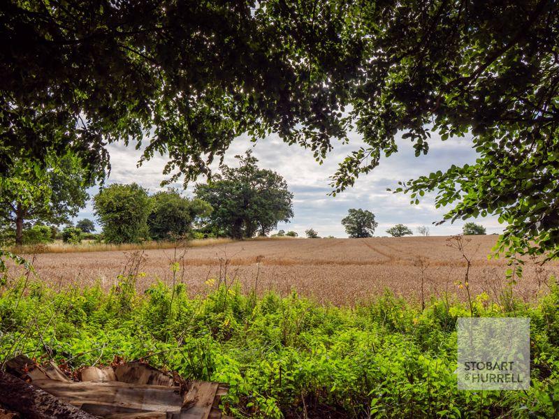 Field Views