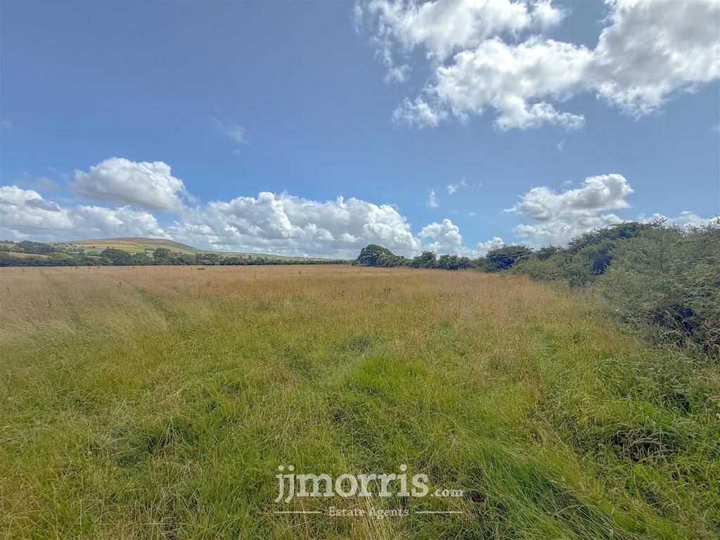 E0 C54 AE9-7895-485 E-8 D77-DAA73 B02 D65 D.jpeg